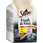 Sheba Fresh & Fine Kuřecí a Losos ve šťávě 6 x 50 g – Zboží Mobilmania