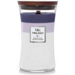 WoodWick Trilogy Evening Luxe 453,6 g – Zbozi.Blesk.cz