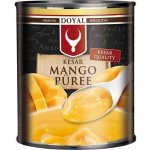 SWAD Kesar Mangové pyré 850 g – Hledejceny.cz