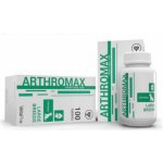 Vetapro Arthromax kloubní výživa pro psy velkých plemen 100 tablet – Hledejceny.cz