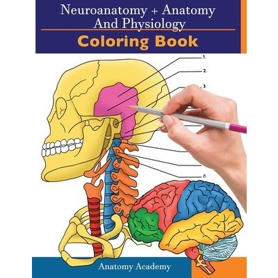 Neuroanatomy + Anatomy and Physiology Coloring Book – Zboží Mobilmania