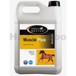 Horse Master Muscle Plus 5 l – Hledejceny.cz