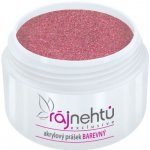Ráj nehtů Akrylový prášek Glitter Purple Rose 5 g – Zboží Dáma