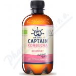 The Gutsy Captain Kombucha Original 400 ml – Zbozi.Blesk.cz