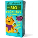 Allnature BIO Dětský čaj Průdušky se slézem 20x1,5 g – Zboží Dáma
