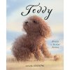 Kniha Teddy