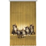 Fotozáclona AGdesign neprůhledná, FCPL 6521, Kočky 140 x 245 cm – Hledejceny.cz