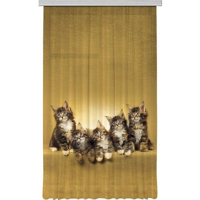 Fotozáclona AGdesign neprůhledná, FCPL 6521, Kočky 140 x 245 cm – Hledejceny.cz