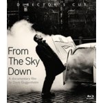 U2 - From The Sky Down [Blu-ray] – Hledejceny.cz