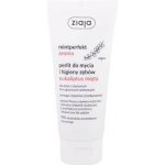 Ziaja Mintperfect Aroma Green Tea & Mint 100 ml – Hledejceny.cz
