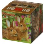 Pexeso box: Dvoreček – Zboží Živě