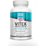 Vitex agnus castus Drmek obecný extrakt 2: 1 500 mg 90 kapslí – Hledejceny.cz