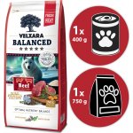 Velxara Balanced FM Dog Adult Monoprotein Beef & Rice 12 kg – Sleviste.cz