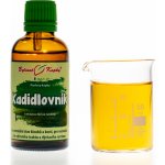 Bylinné kapky Kadidlovník Olibanum Boswelie tinktura 50 ml – Hledejceny.cz
