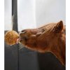 Krmivo a vitamíny pro koně Likit Pochoutka Muesli koule závěsná jablečná 1,6 kg