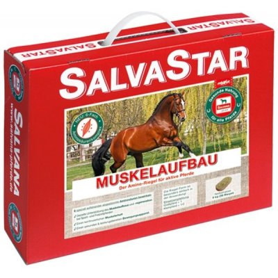 Salvana SALVASTAR Muskelaufbau 5 kg – Hledejceny.cz