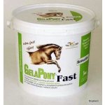 Orling Gelapony Fast 0,6 kg – Zboží Dáma