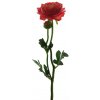 Květina Pryskyřník - ranonculus (spray) s pupenem červený V46 cm