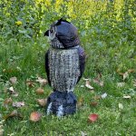 Garden King Solární plašič ptáků Sonic 3v1 sova plastová 42 cm SD600 – Zboží Dáma