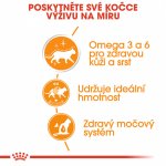Royal Canin Hair & Skin Care jelly 12 x 85 g – Hledejceny.cz