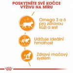 Royal Canin Hair & Skin Care v želé 12 x 85 g – Hledejceny.cz