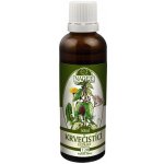 Naděje Krvečistící extrakt T20 tinktura 50 ml – Hledejceny.cz
