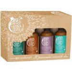 Tierra Verde Sada osvěžovačů vzduchu - K provonění zimních dní 4 x 100 ml – Zboží Dáma