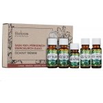 Saloos sada esenciálních olejů Čichový trénink 1 x ml + 4 x 10 ml – Zboží Dáma Saloos sada esenciálních olejů Čichový trénink 1 x ml + 4 x 10 ml – Zboží Dáma