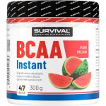 Survival BCAA Instant 300 g – Zboží Dáma