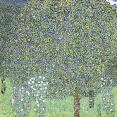 Plakát, Obraz - Roses under the Trees (1905), Gustav Klimt, 40 × 40 cm – Zboží Dáma