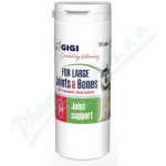 Gigi For Large Joints&Bones 100 tbl – Hledejceny.cz