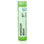 ARSENICUM ALBUM POR 5CH GRA 1X4G – Hledejceny.cz