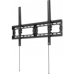 ECG LD 326501 – Hledejceny.cz