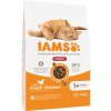 Granule pro kočky IAMS Advanced Nutrition Indoor Cat s kuřecím 2 x 10 kg