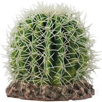 Hobby Kaktus Sonora M 15x15x13 cm – Zboží Dáma