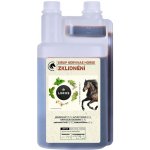 Leros Sirup Nervinae Horse 1 l – Hledejceny.cz