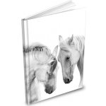 MFP Záznamová kniha A5 čistá 100 listů – Zboží Živě