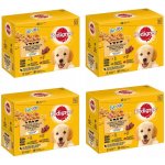 Pedigree Junior kuřecí 12 x 100 g – Sleviste.cz