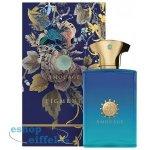 Amouage Figment parfémovaná voda pánská 100 ml – Hledejceny.cz