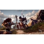 Horizon: Zero Dawn – Zboží Dáma