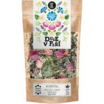 Koldokol Duše v peří čaj 50 g – Zboží Mobilmania