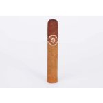 Joya de Nicaragua Cabinetta Robusto – Zboží Mobilmania