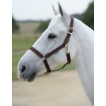 Bucas Ohlávka Dublin hnědá – Sleviste.cz