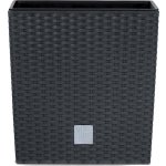 Prosperplast RATO LOW antracit 26.2 x 26.2 x 26.6 cm – Hledejceny.cz