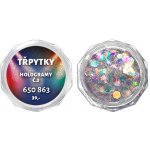Expa-nails expanails třpytky na zdobení nehtů hologramy č.3 violet 2 g – Hledejceny.cz
