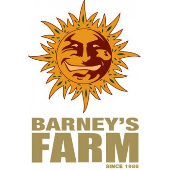 Barney's Farm Dr. Grinspoon semena neobsahují THC 10 ks