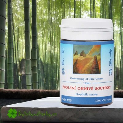 TCM Herbs Zdolání ohnivé soutěsky 100 tablet – Hledejceny.cz