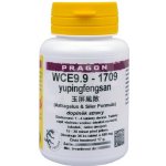 Sinecura WCE9.9-1709 yupingfengsan 60 tablet – Hledejceny.cz