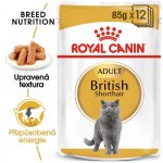 Royal Canin British Shorthair Adult 24 x 85 g – Hledejceny.cz