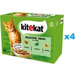 Kitekat Delikatne Smaki s krůtou, králíkem a drůbeží v omáčce 48 x 85 g – Hledejceny.cz